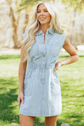 Porchlight Pinstripe Dress