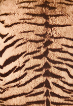 The Savannah Lace Dress