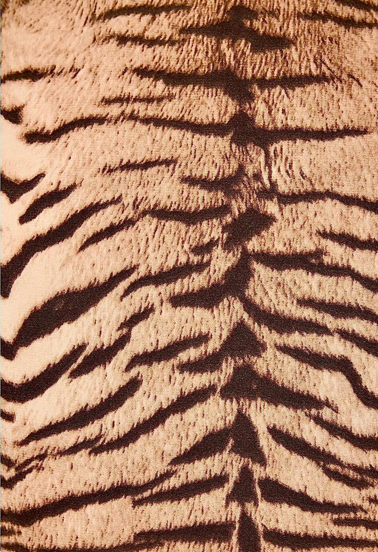 The Savannah Lace Dress